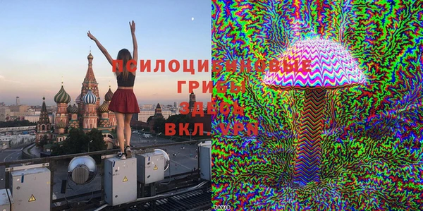твердый Алексеевка