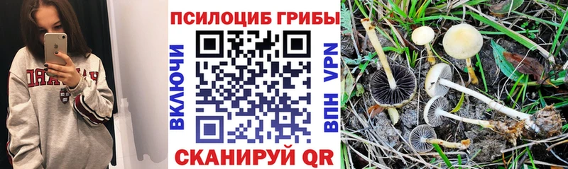Галлюциногенные грибы Magic Shrooms Арзамас